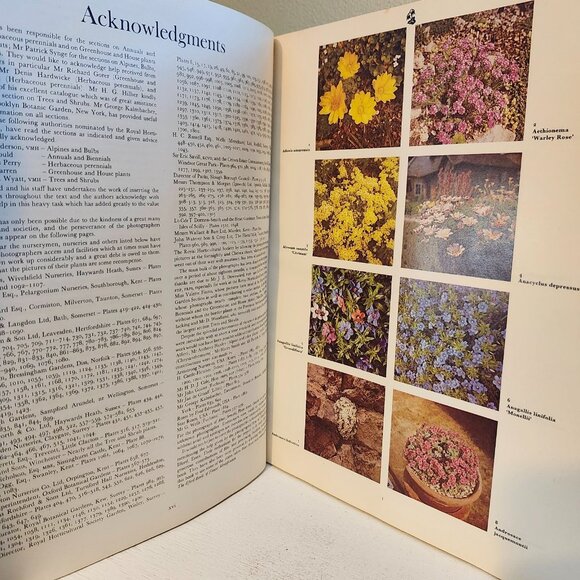 1969 Dictionary of Garden Plants in Color with House and Greenhouse Plants HC - Picture 8 of 15